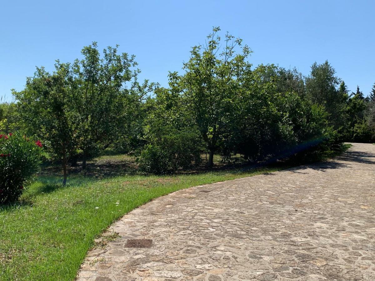 Villa Olivia Tricase Exteriör bild